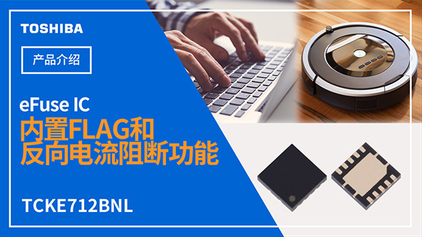 ��(n��i)��FLAG�ͷ��������๦�ܵ�eFuse IC��B��TCKE712BNL