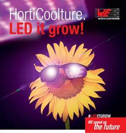 �@ˇLED����