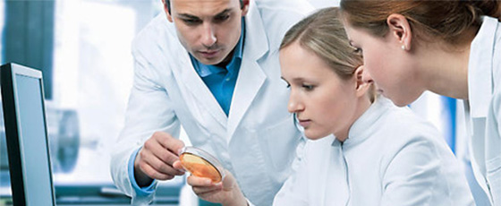 NI��(chu��ng)�¹��̽�����Q���������n��������ҡ��p��(chu��ng)������