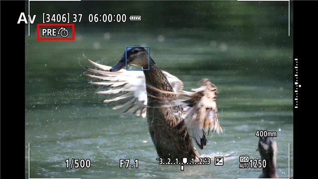 更順手 更可靠 佳能EOS R1 Ver1.1.2固件體驗(yàn)評測