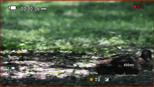 更順手 更可靠 佳能EOS R1 Ver1.1.2固件體驗(yàn)評測