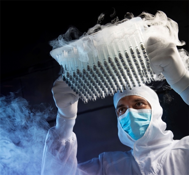 以玻璃為媒，與改革同頻：肖特玻璃從產(chǎn)業(yè)鏈“隱形”處引爆創(chuàng)新