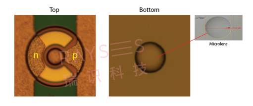拉開元宇宙序幕，瑞識科技推出背發(fā)光微透鏡集成VCSEL芯片