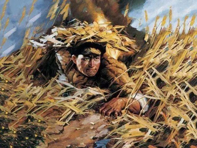 因涉嫌侮辱邱少云，日本科技巨頭被禁言！