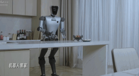 創(chuàng)業(yè)首秀！稚暉君6個月造出的機器人有多強？