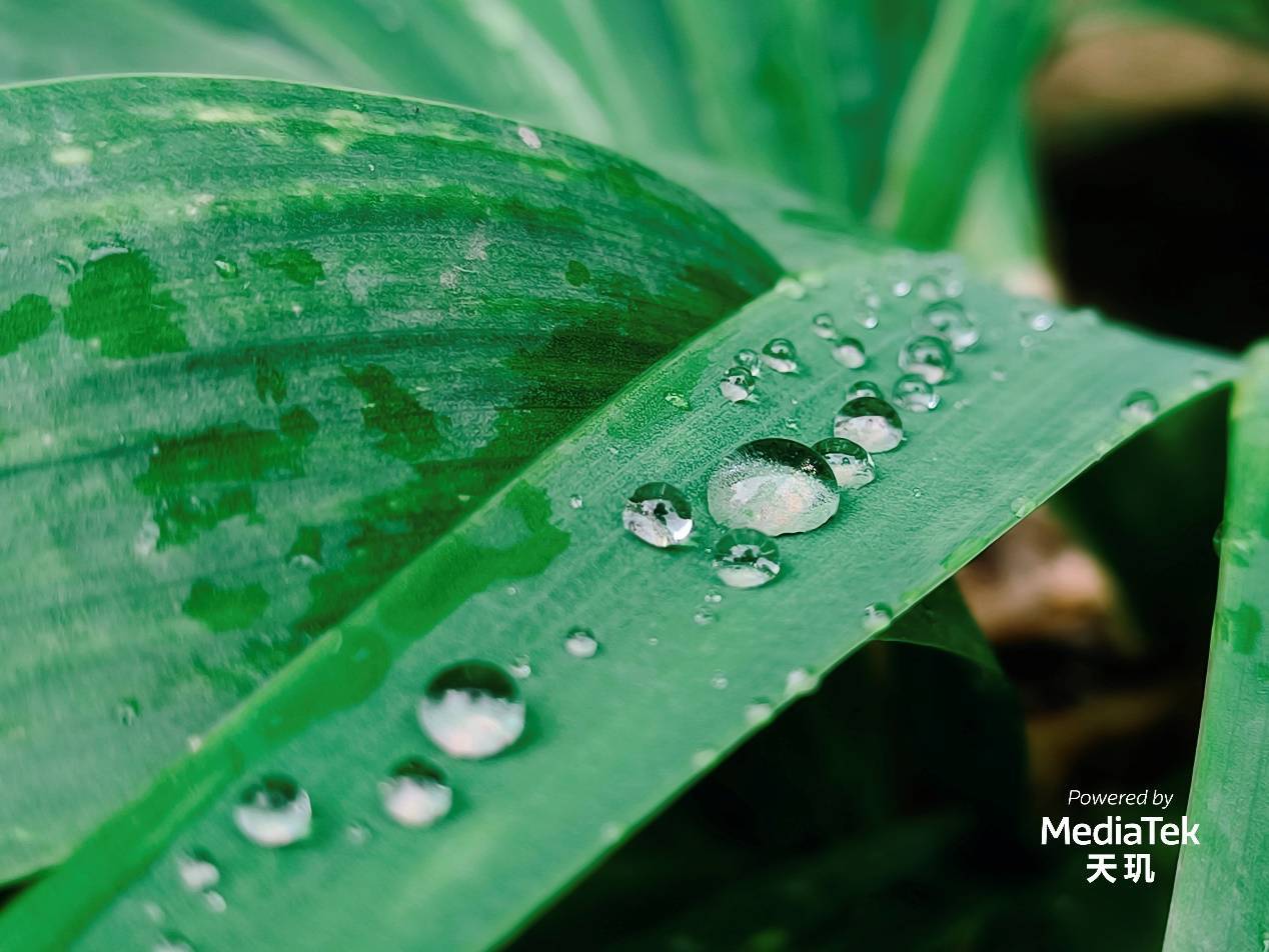 天璣9200支持電影模式，自動追焦配合背景虛化，零基礎(chǔ)也能拍大片