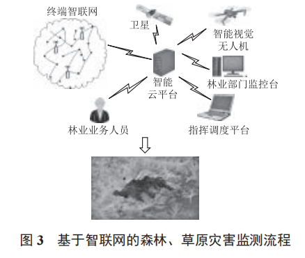 智聯(lián)網(wǎng)技術在林業(yè)信息化中的應用研究