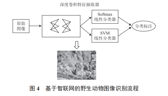 智聯(lián)網(wǎng)技術在林業(yè)信息化中的應用研究