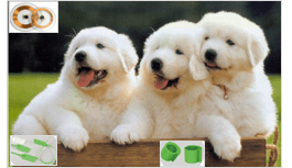 RFID在產線自動化控制的應用