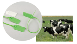 RFID在產線自動化控制的應用