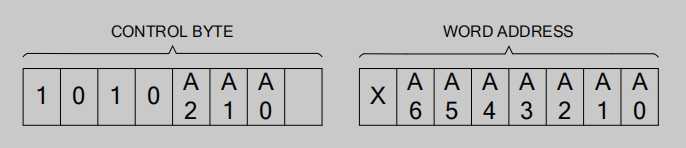 一個存儲器字節(jié)地址