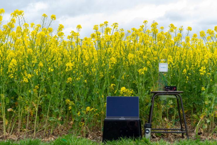 智慧農(nóng)業(yè)中的電池挑戰(zhàn)：Sensefarm 使用Otii破解傳感器續(xù)航難題