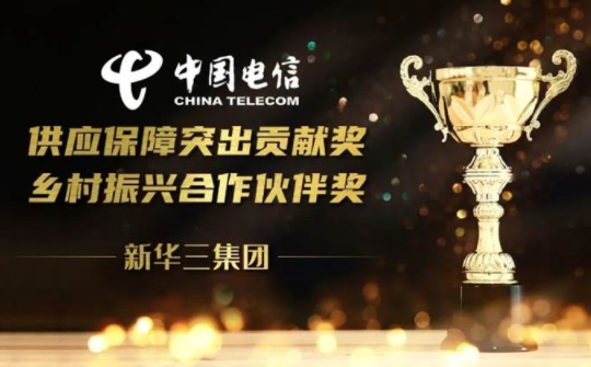 攜手運營商共贏新時代 | 新華三榮獲中國電信供應鏈生態(tài)兩項大獎
