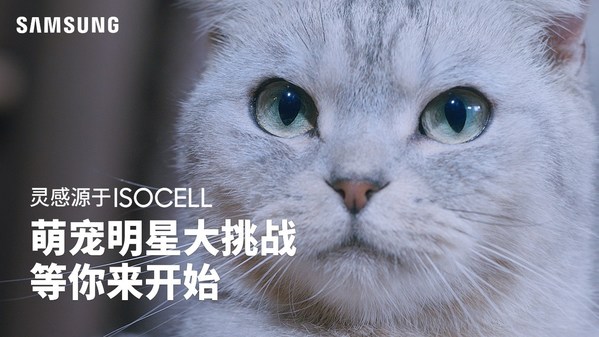 萌寵照片大集合，三星超高像素拍照征集活動開始