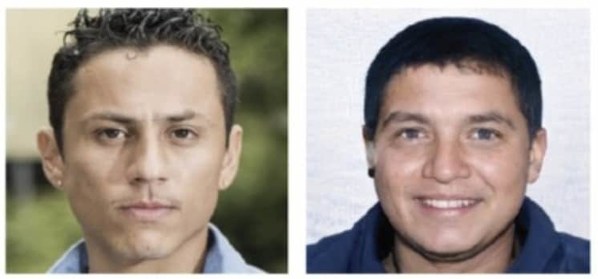 你能分辨真假嗎？左邊的照片是真實的。來源：Michoel L. Moshel等人。