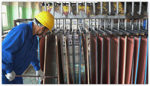 人工剝片現(xiàn)場 人工剝片現(xiàn)場