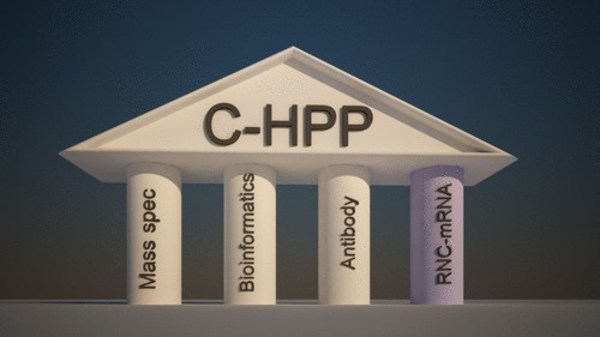 翻譯組(RNC-mRNA)被作為國際人類蛋白質組計劃的核心支柱之一。Reprinted with permission from J. Proteome Res. 2014, 13, 1, 50–59. Copyright 2014 American Chemical Society.