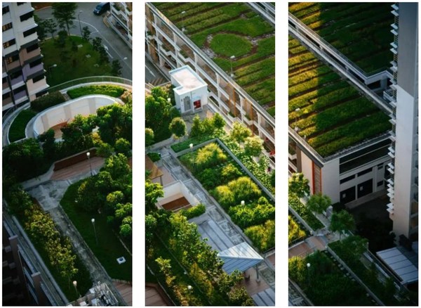 高力國(guó)際深度解析如何借助ESG指標(biāo)體系提升企業(yè)價(jià)值