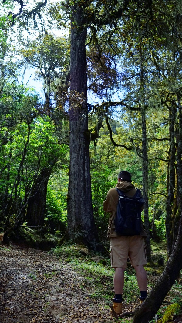 探秘自然 獨(dú)家徒步路線(xiàn)（博主：Noby不太忙）