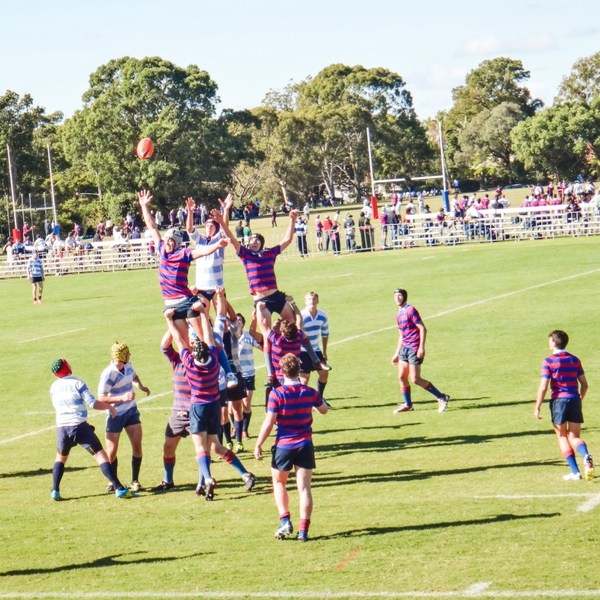 北京致知學(xué)校高中部新生百萬獎(jiǎng)學(xué)金：擁抱致知，走向世界
