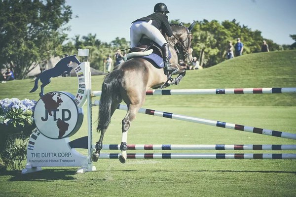 國內(nèi)首個獲批的進(jìn)口馬胃潰瘍專用藥物駿衛(wèi)保(R)在華上市