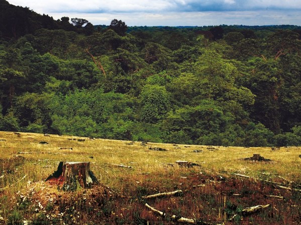 SGS通標(biāo)標(biāo)準(zhǔn)技術(shù)服務(wù)有限公司大連分公司能力覆蓋第三次全國(guó)土壤普查指定的全部檢測(cè)項(xiàng)目，并具備CMA、CATL等多項(xiàng)資質(zhì)認(rèn)可