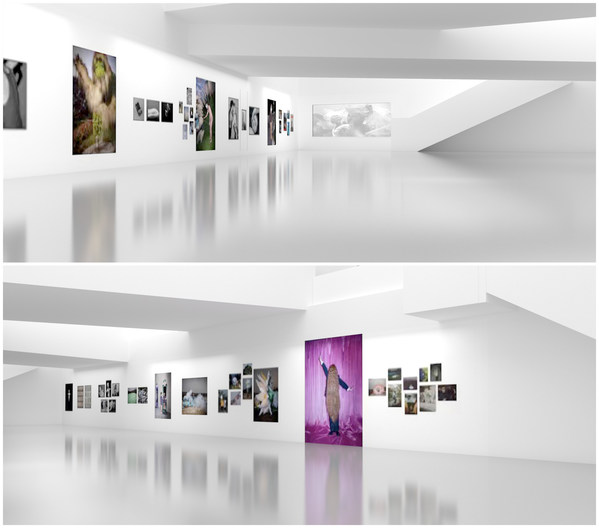 富士X-SPACE瑪格南合作影展reconnect北京悅-美術(shù)館展覽現(xiàn)場(chǎng)效果圖 富士X-SPACE瑪格南合作影展reconnect北京悅-美術(shù)館展覽現(xiàn)場(chǎng)效果圖