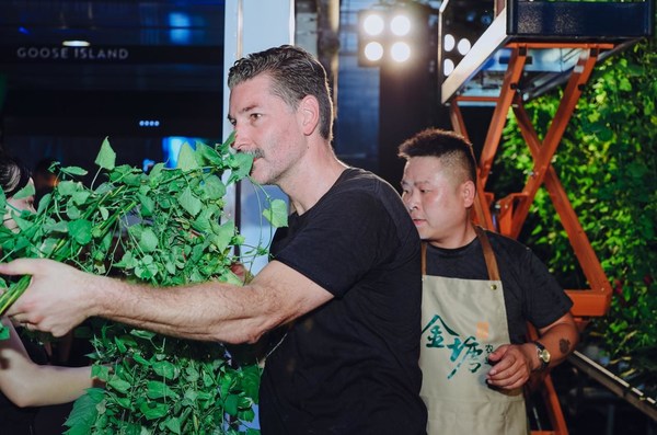 鵝島中國首席釀酒師Daniel Feist采摘由GOOSE ISLAND鵝島現(xiàn)代智能室內(nèi)酒花農(nóng)場通過無土栽培方式種植出的卡斯卡特啤酒花 鵝島中國首席釀酒師Daniel Feist采摘由GOOSE ISLAND鵝島現(xiàn)代智能室內(nèi)酒花農(nóng)場通過無土栽培方式種植出的卡斯卡特啤酒花