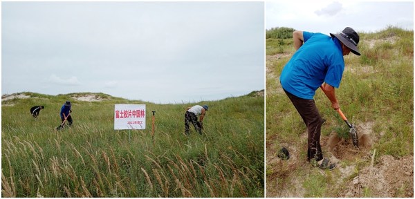 將環(huán)保作為優(yōu)先事項(xiàng) 富士膠片第二十五次開展沙漠綠化行動