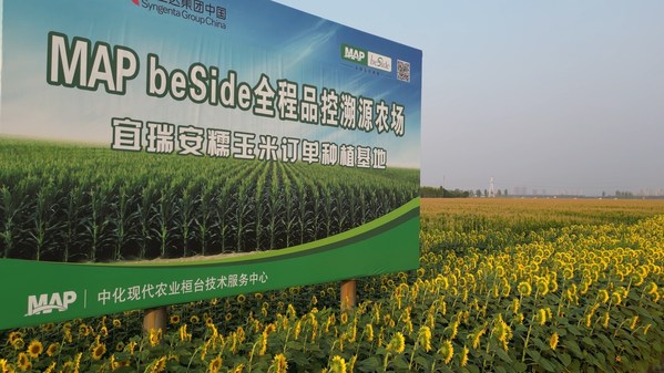 山東桓臺(tái)農(nóng)場(chǎng) 山東桓臺(tái)農(nóng)場(chǎng)