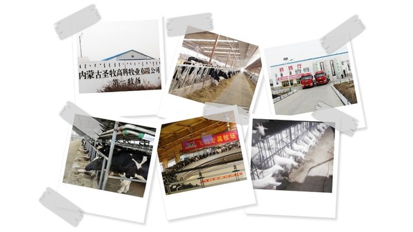 匯盛裂壺藻粉:國(guó)際領(lǐng)先的原生DHA乳制品四大發(fā)明專利