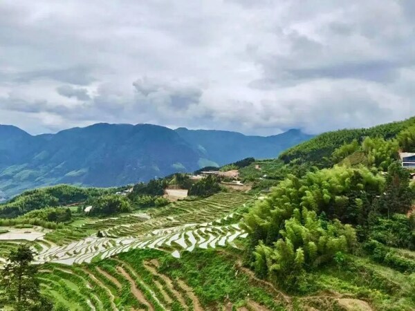 愛立信獲評2022彭博綠金ESG年度責(zé)任先鋒