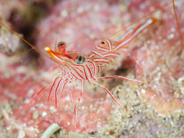 《從觀看出發(fā)》富士膠片首期“百人影創(chuàng)官”作品展參展作品 《珠海廟灣》@趙灝欽 《從觀看出發(fā)》富士膠片首期“百人影創(chuàng)官”作品展參展作品 《珠海廟灣》@趙灝欽