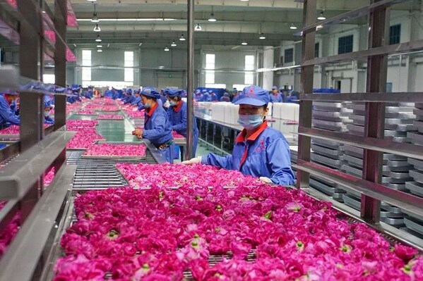 華玫生物生產(chǎn)車間 華玫生物生產(chǎn)車間