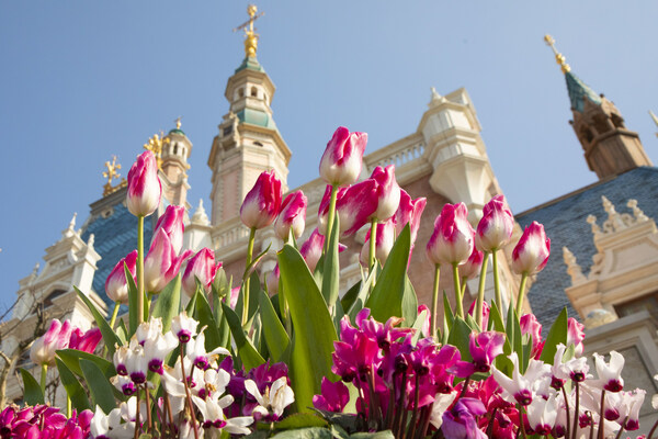 上海迪士尼度假區(qū)開啟繽紛春日慶典，邀游客盡興玩出趣