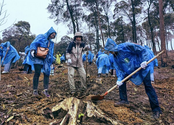 （眾合云科志愿服務(wù)隊(duì)在災(zāi)后自然教育公益導(dǎo)師的指導(dǎo)下，按坑栽苗，培土澆水）