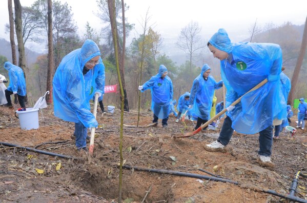 眾合云科赴重慶縉云山山火跡地植樹復(fù)綠 眾合云科赴重慶縉云山山火跡地植樹復(fù)綠