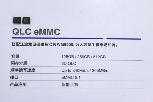 江波龍全棧定制方案亮相2024中國電信數(shù)字科技生態(tài)大會