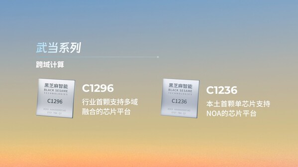 黑芝麻智能武當(dāng)C1200家族芯片 黑芝麻智能武當(dāng)C1200家族芯片