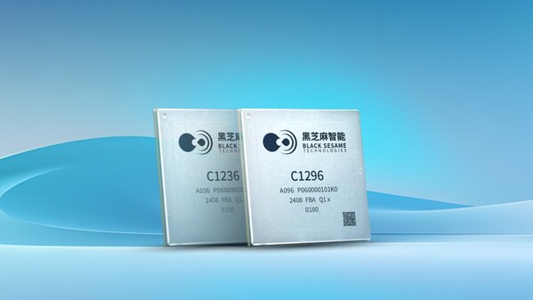 武當(dāng)C1200家族芯片 武當(dāng)C1200家族芯片