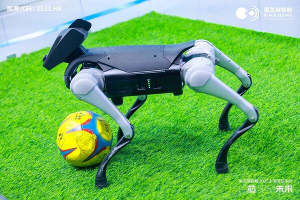 黑芝麻智能&深庭紀(jì)具身智能應(yīng)用——智能機器狗