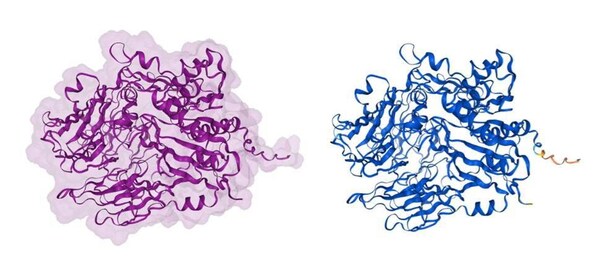 結(jié)構(gòu)配色方案：按子單位（左圖）；結(jié)構(gòu)配色方案：模型置信度（右圖）