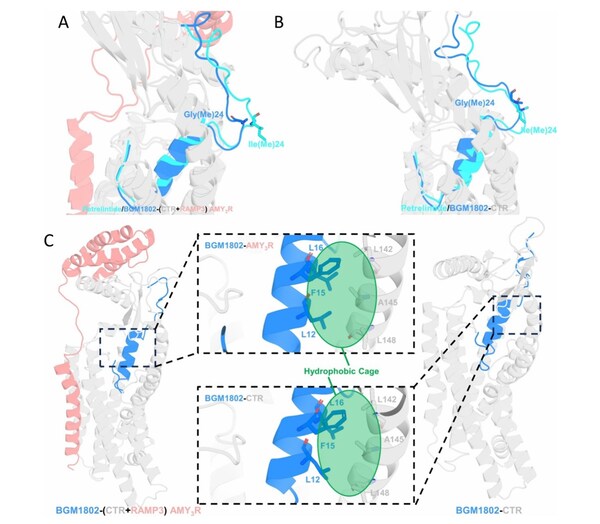 分子動力學(xué)模擬中的穩(wěn)定構(gòu)象