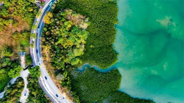 SGS環(huán)境技術專家入選廈門生態(tài)環(huán)境標準化技術委員會專家委員