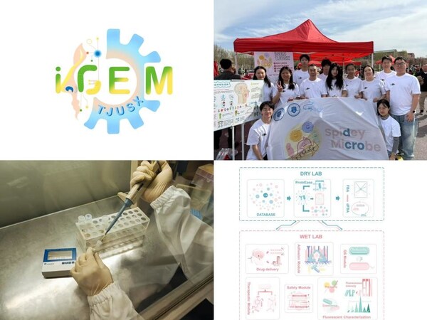 擎科生物助力iGEM團(tuán)隊(duì)-TJUSX 打造安全、可控、可復(fù)用的活體藥物平臺(tái)