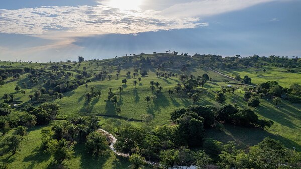 DEKRA德凱以行動踐行氣候責(zé)任承諾