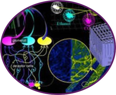 �c(di��n)���M(j��n)��