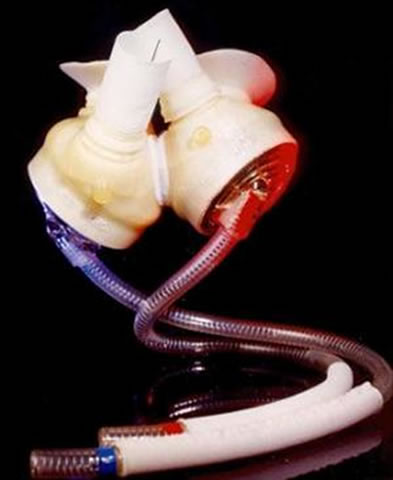 �c(di��n)���M(j��n)��