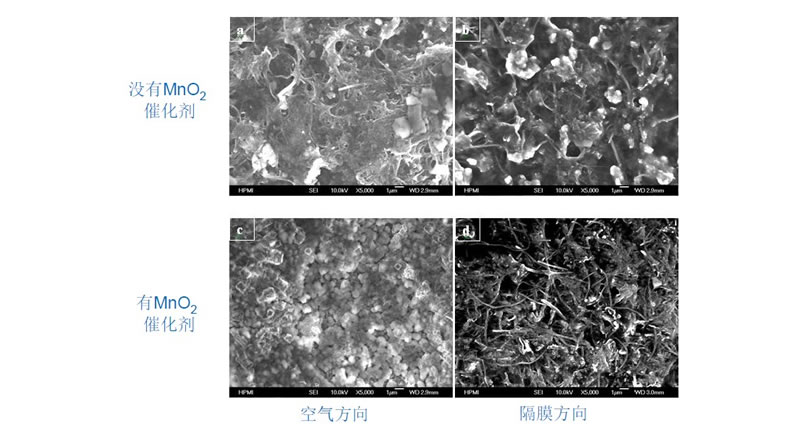 �՚�늘O�ı���SEM ����